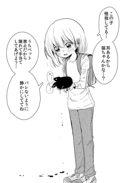 Cover of The Creature I Picked up and Raised Wasn’t Quite What I Thought It Was