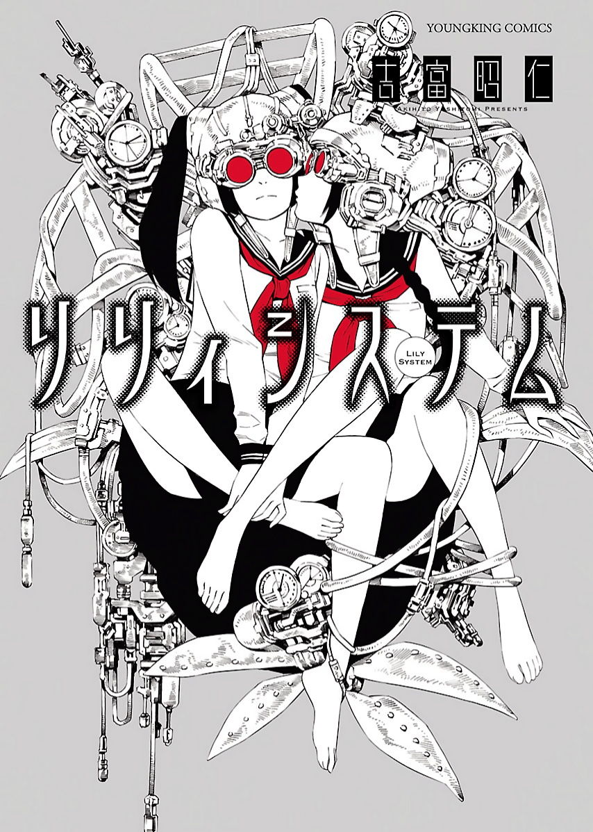 Cover of Lily System
