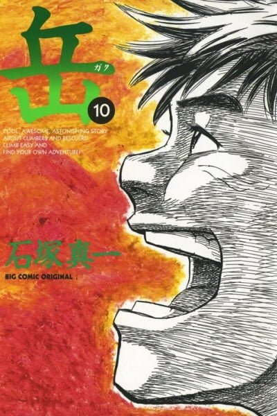 Cover of Gaku