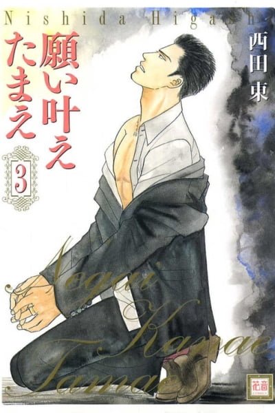 Cover of Negai Kanae Tamae