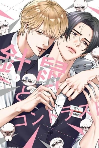 Cover of Hedgehog and Contrast