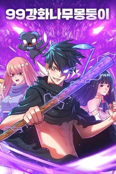 Cover of +99 Reinforced Wooden Stick