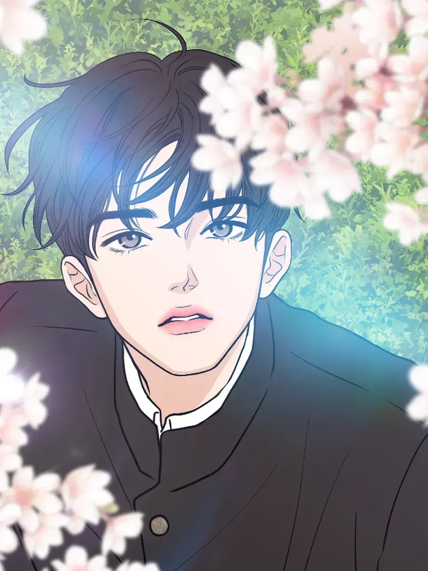 Cover of Desabrochado