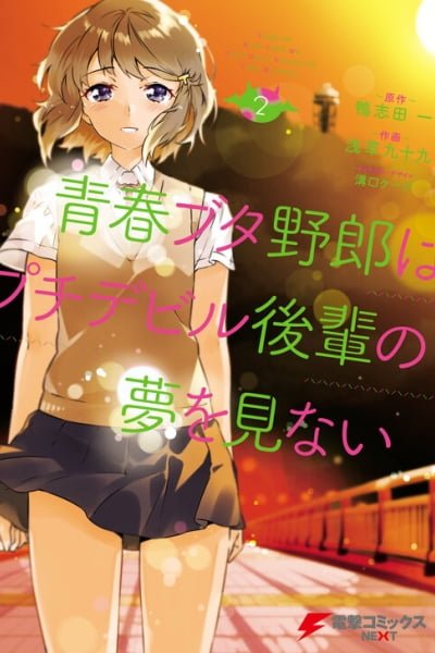 Cover of Rascal Does Not Dream of the Petite Devil Kohai