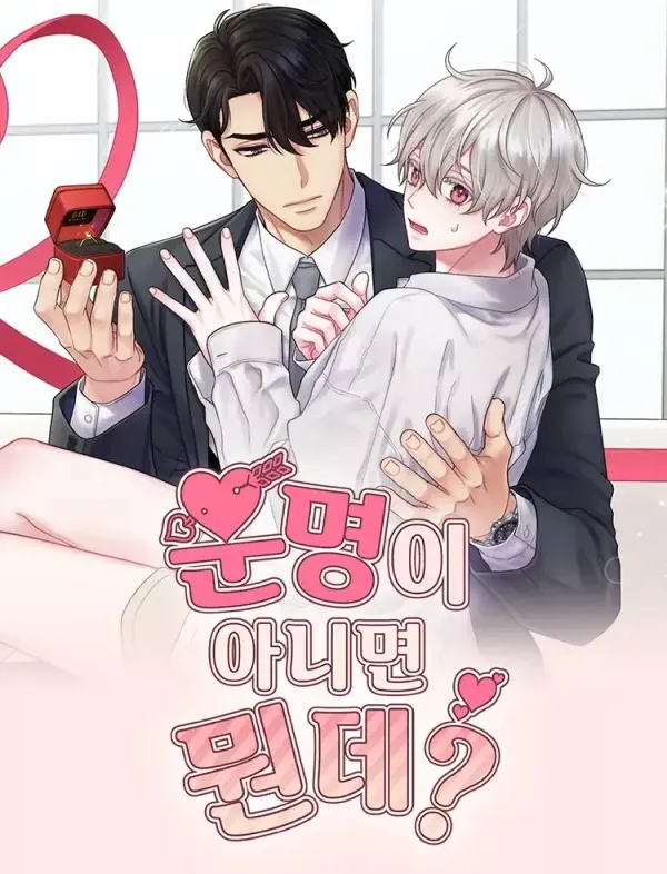 Cover of Se não é destino, o que é?