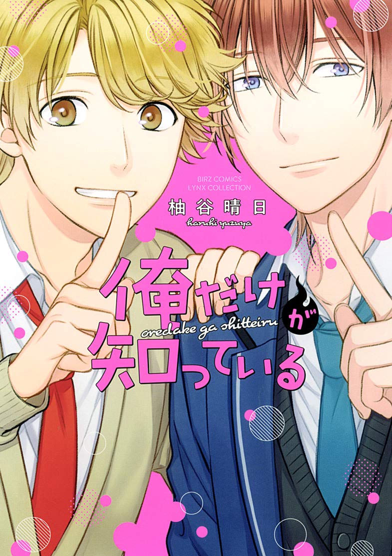 Cover of Ore dake ga Shitte iru