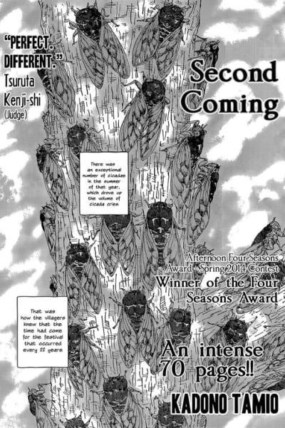 Cover of Second Coming