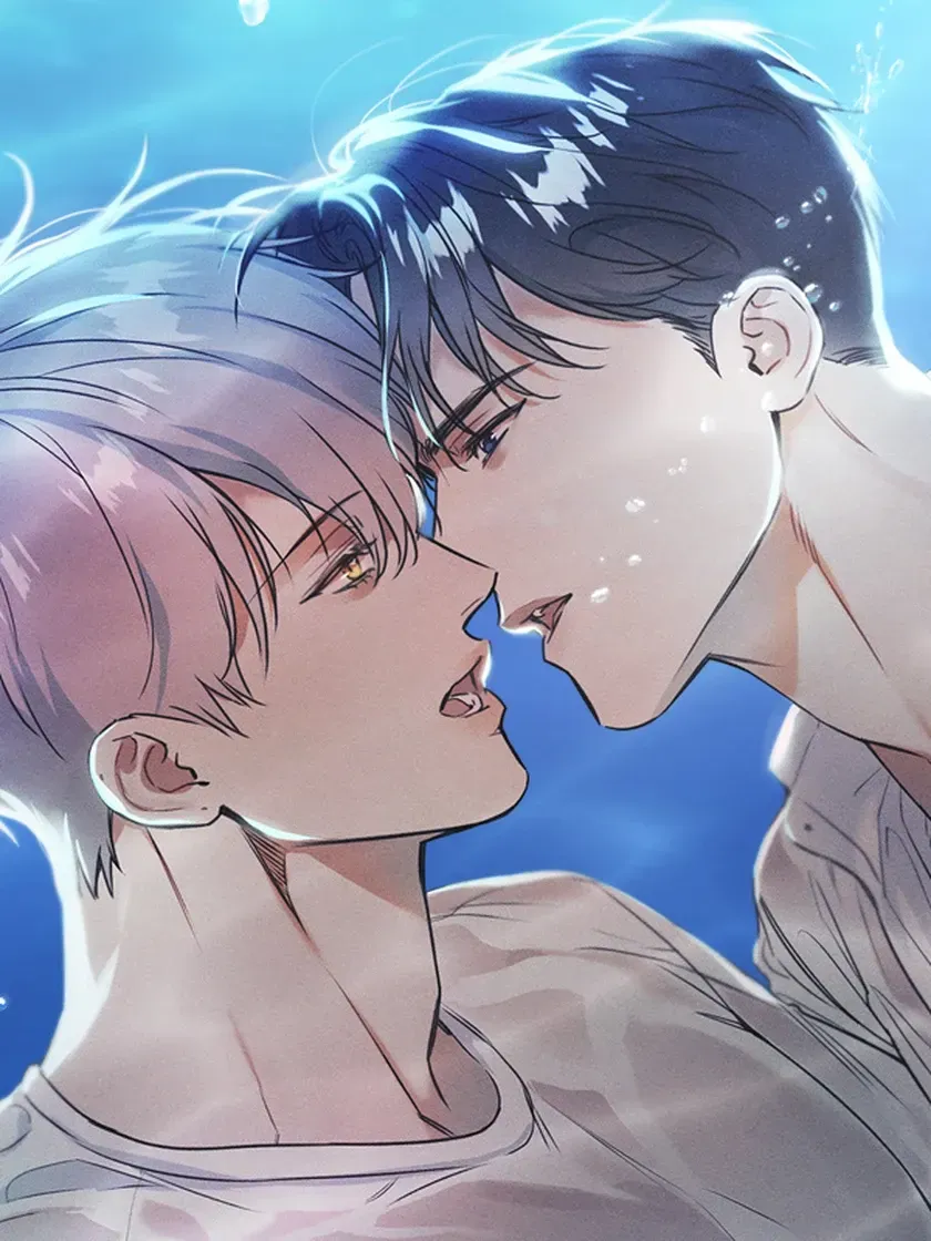 Cover of The Sea's Nocturne