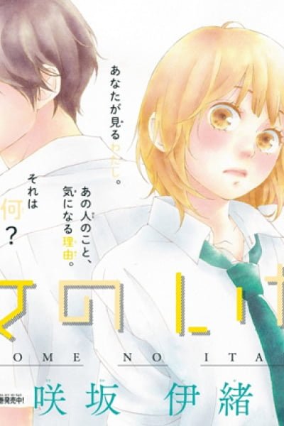 Cover of The Height of A Maiden