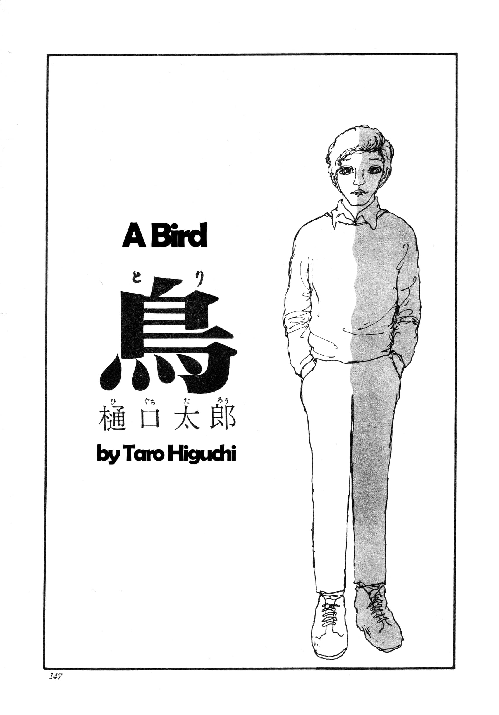 Cover of A Bird