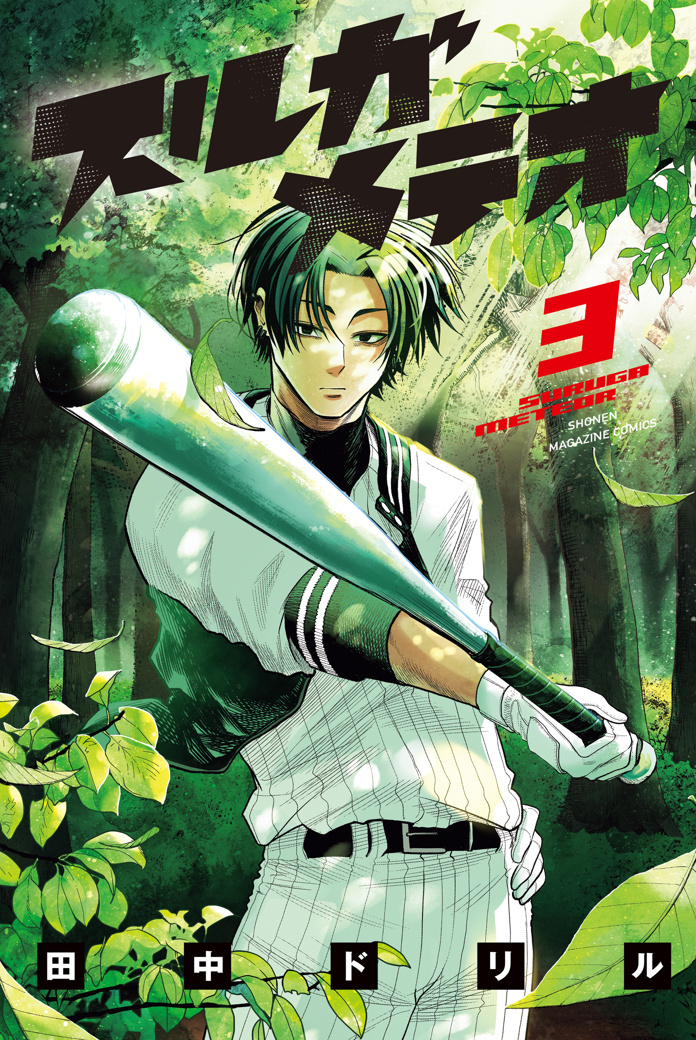 Cover of Suruga Meteor