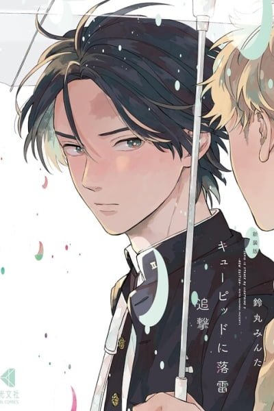 Cover of Cupid ni Rakurai