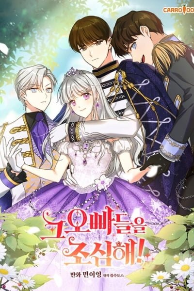 Cover of Beware of the Brothers!