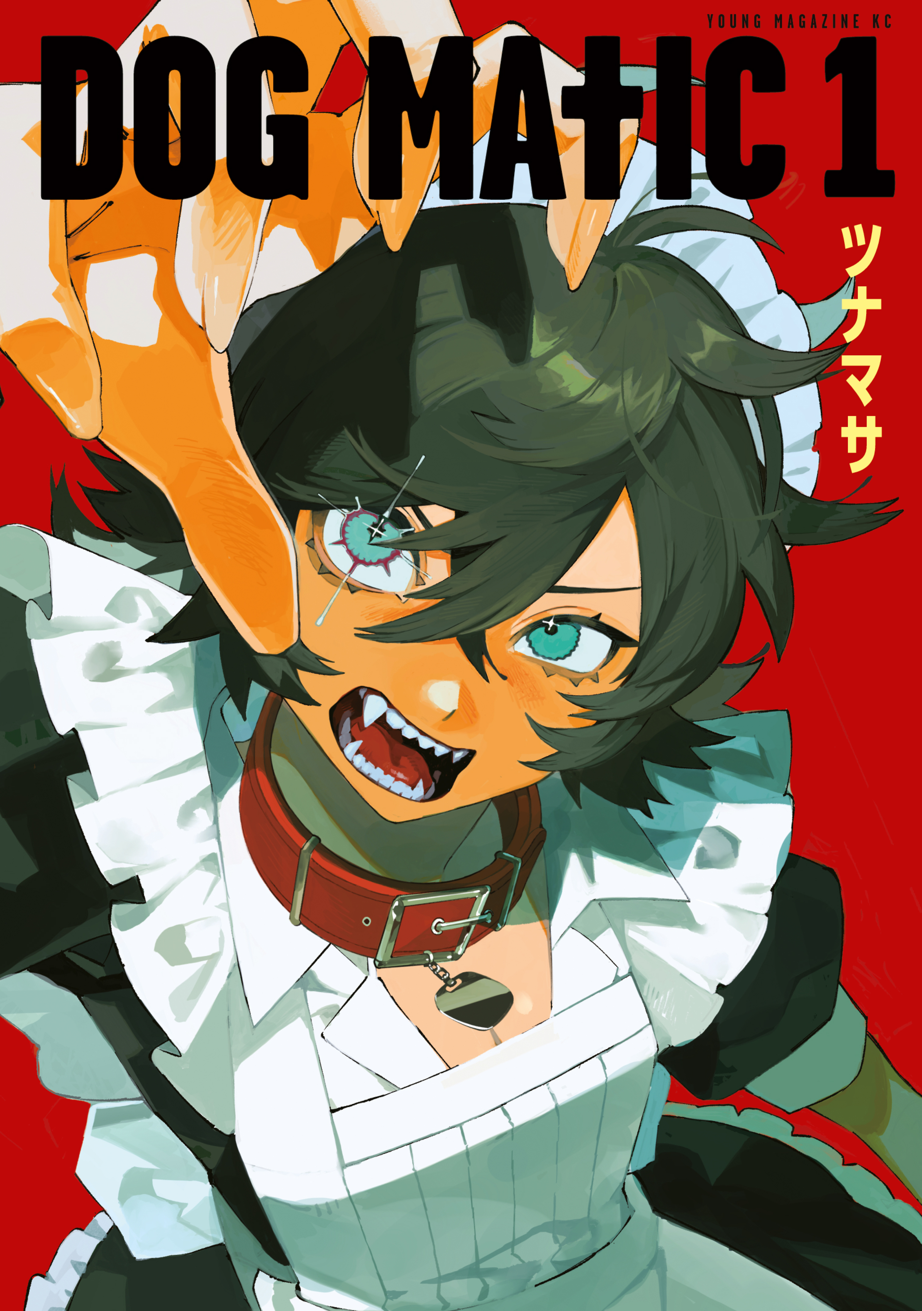 Cover of DOG MATIC