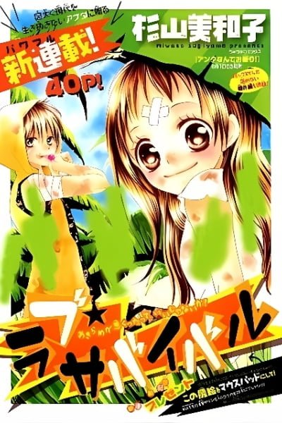 Cover of Love Survival