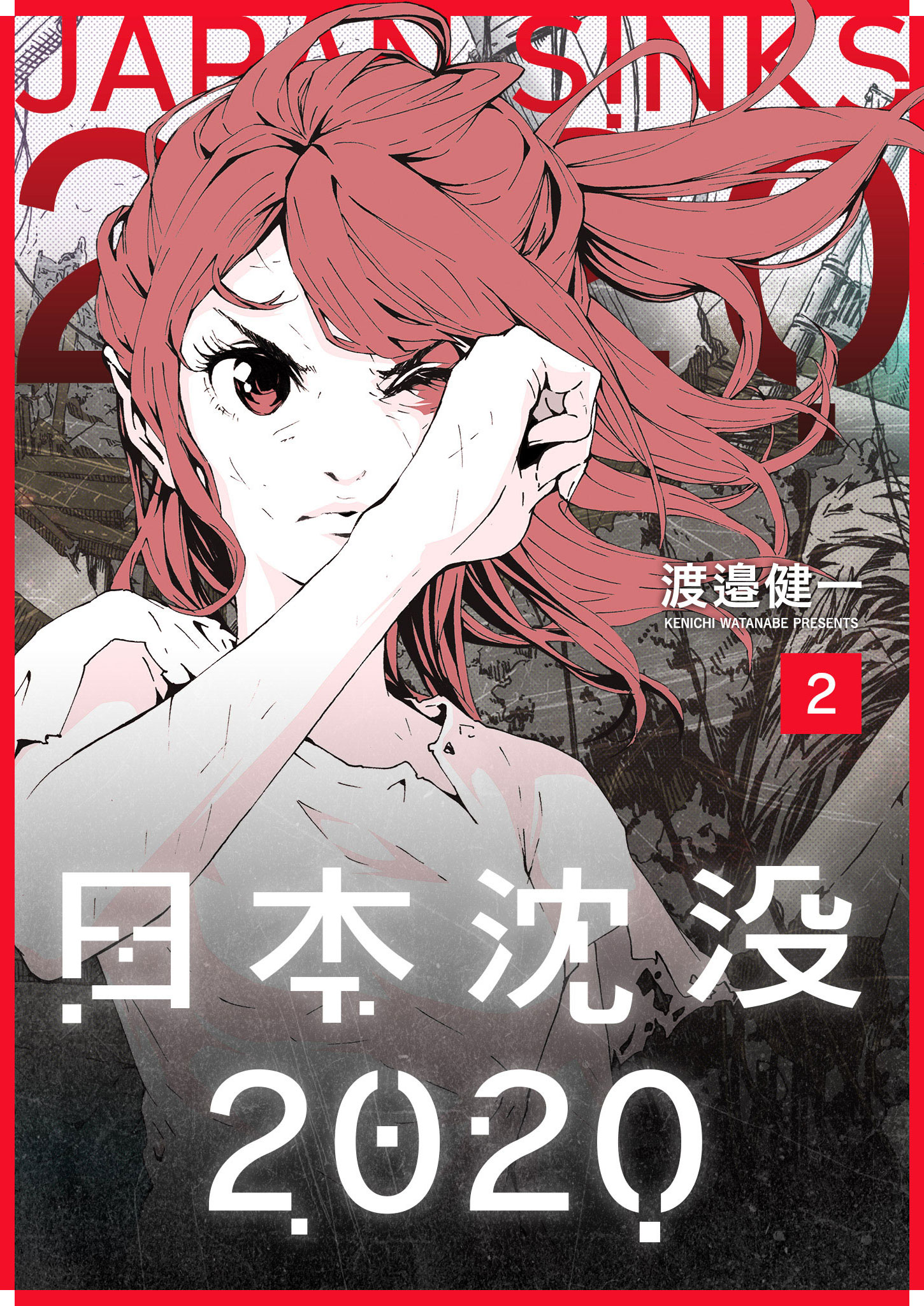 Cover of Japan Sinks 2020