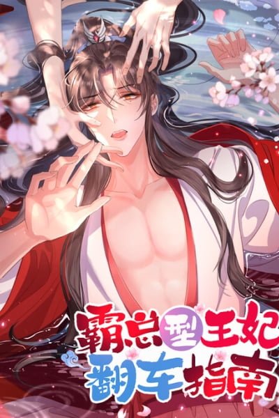 Cover of Rollover Guide for Overlord Type of Princess