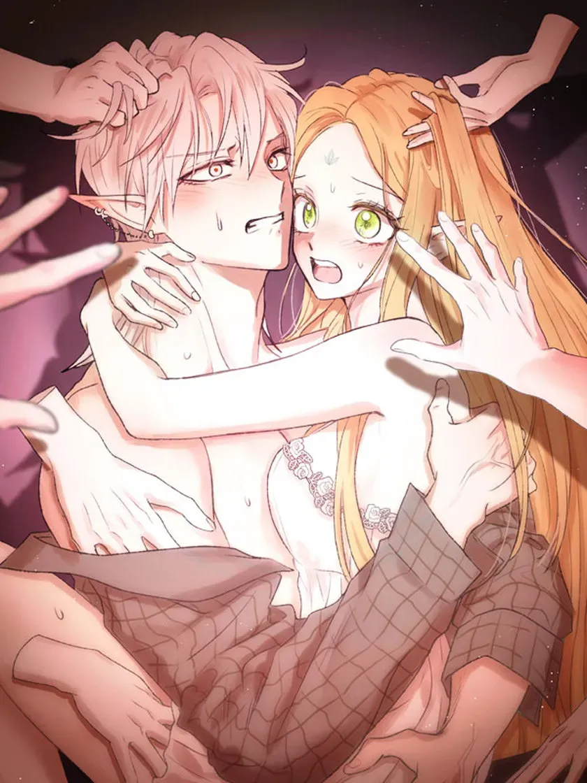 Cover of O Acasalamento dos Elfos