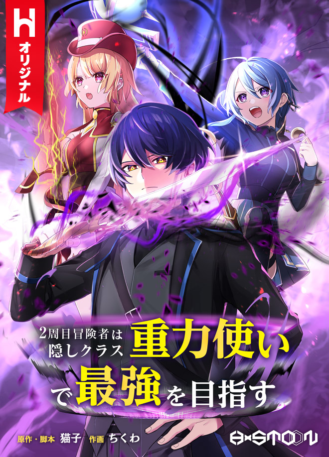 Cover of Hidden Class Gravity User
