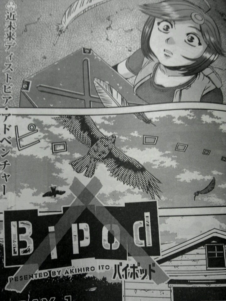 Cover of Bipod