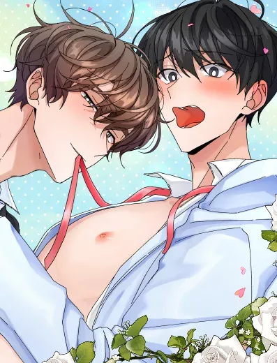 Cover of Admissão Especial de Recém-Casados