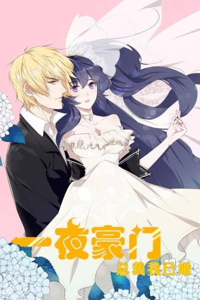 Cover of Get Rich Overnight: I Married the Director