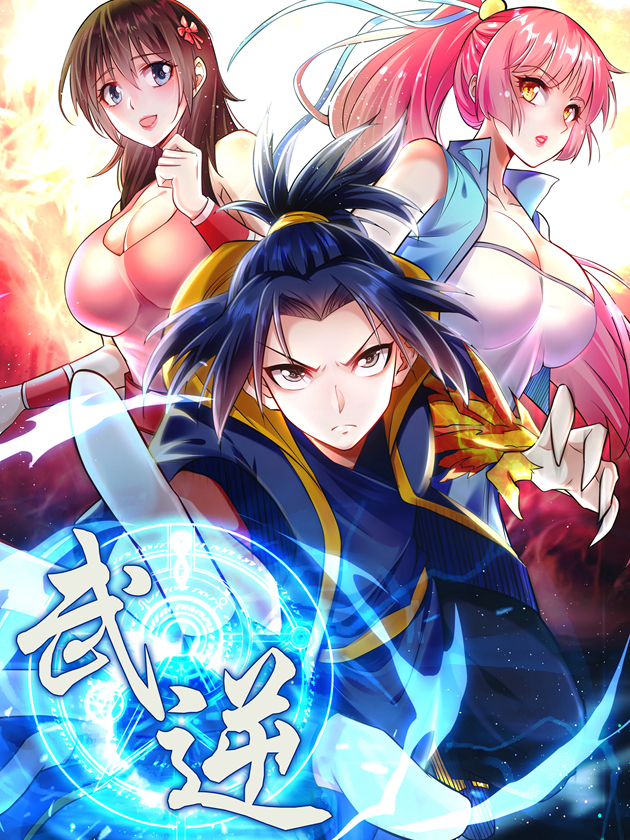 Cover of Martial Inverse
