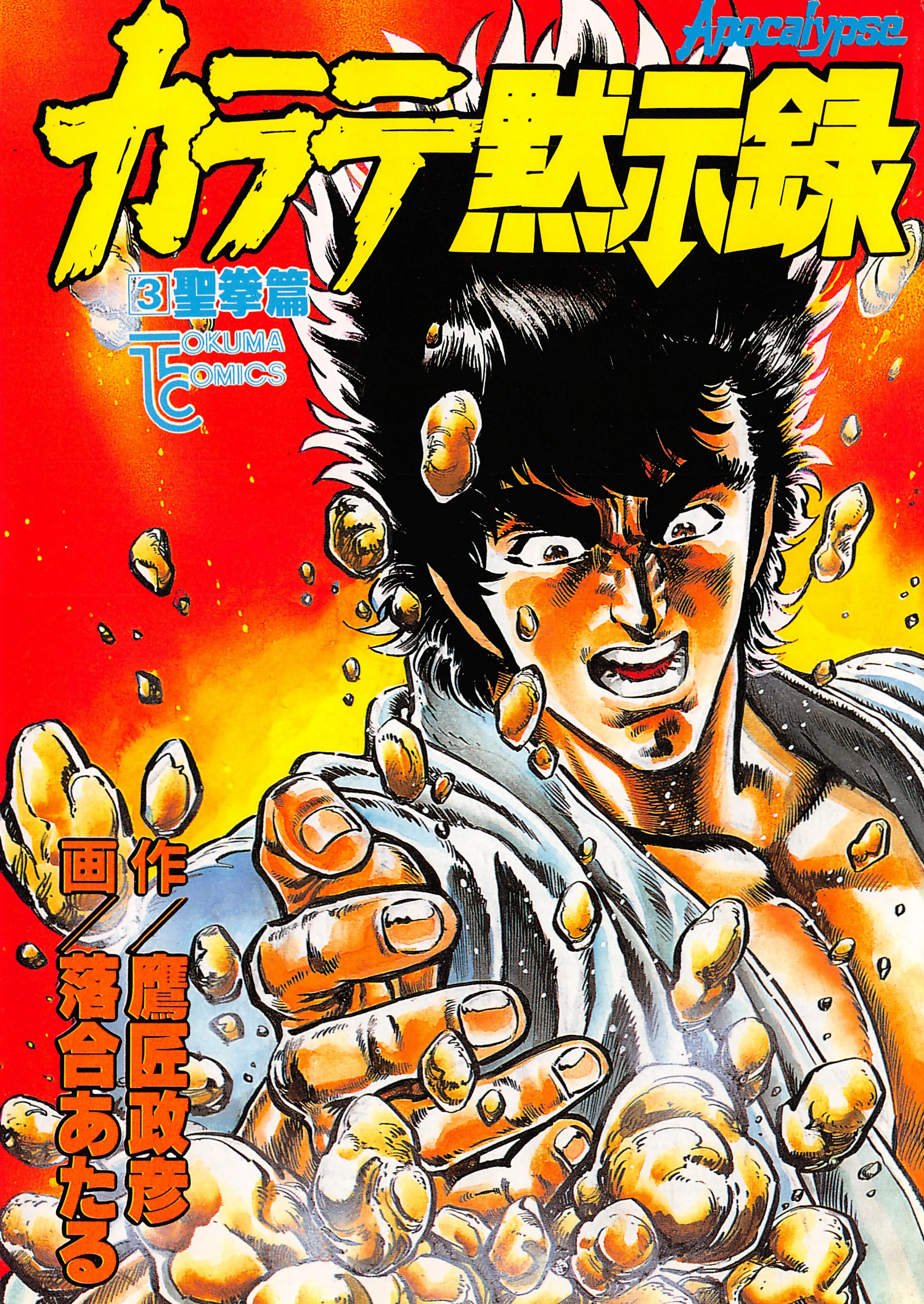 Cover of Karate Apocalypse