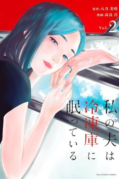 Cover of My Husband Is Sleeping in the Freezer