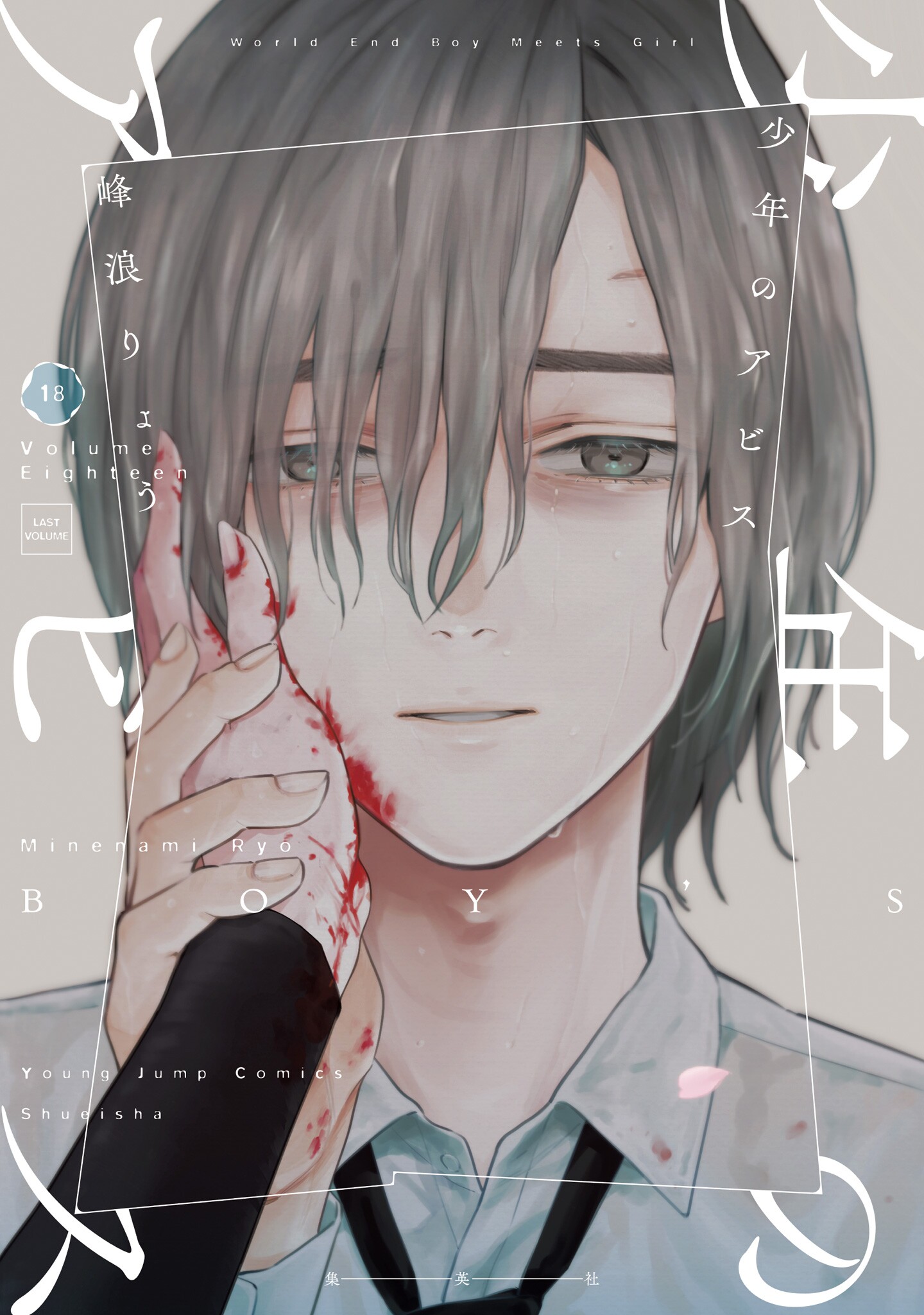 Cover of Boy's Abyss