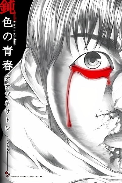 Cover of A Dark, Grey Youth