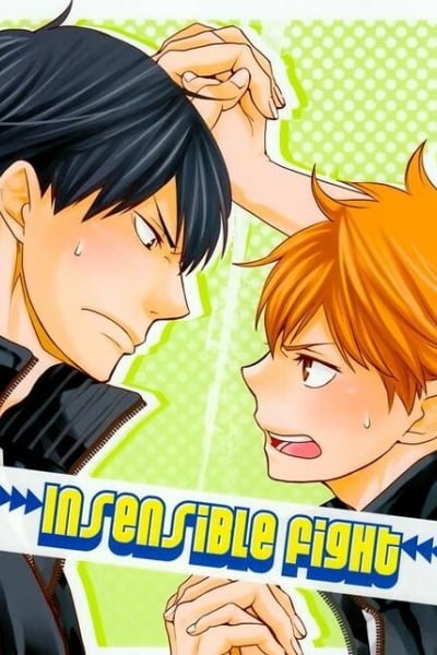 Cover of Haikyuu!! - Insensible Fight (Doujinshi)