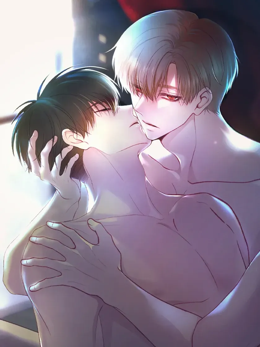 Cover of Companheiro do destino