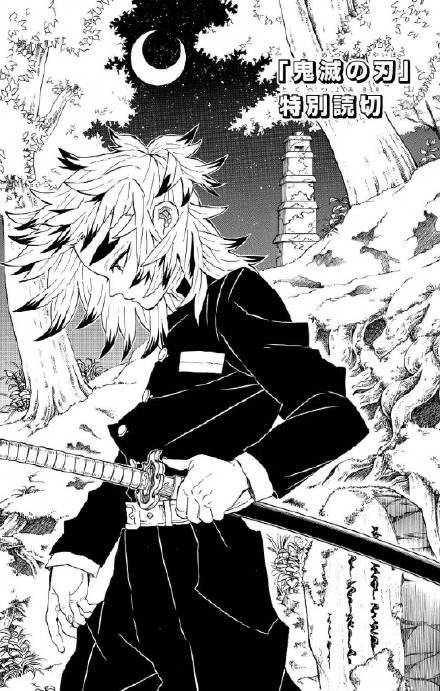 Cover of Demon Slayer: Kimetsu no Yaiba Special One-Shot