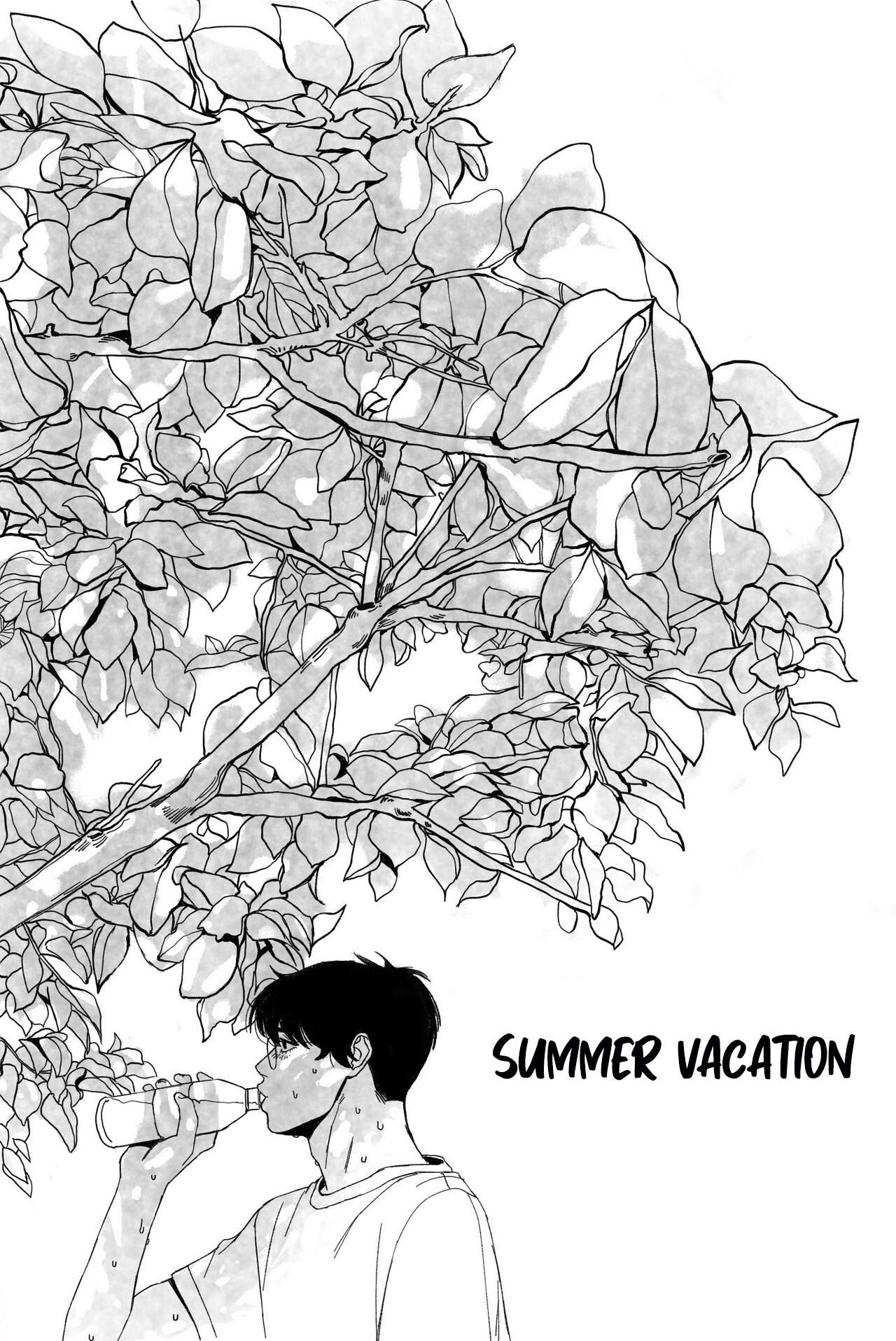 Cover of SUMMER VACATION