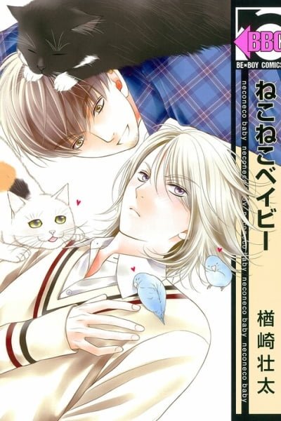 Cover of Neko Neko Baby