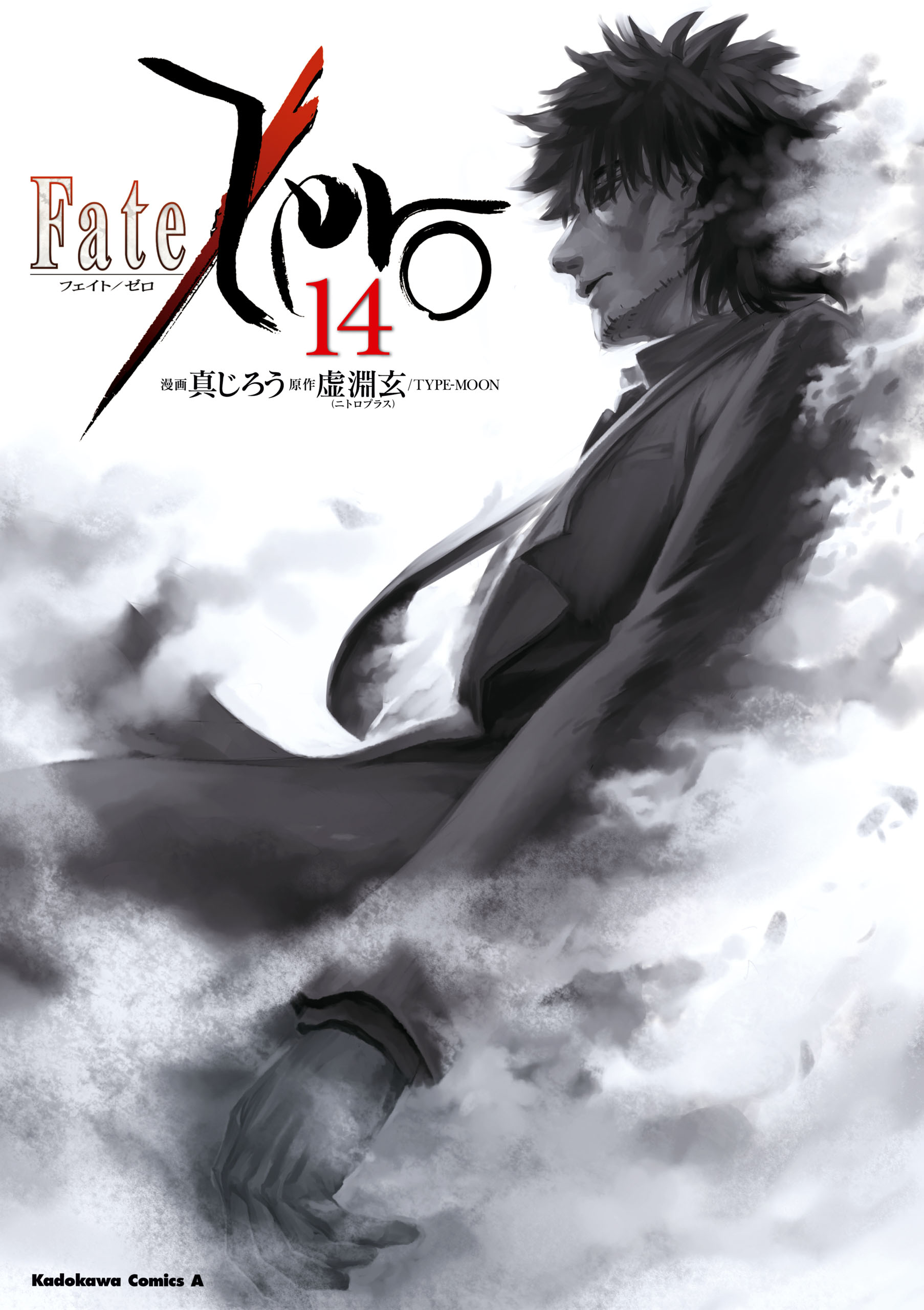Cover of Fate/Zero