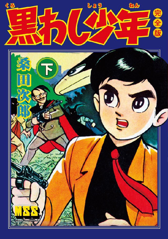 Cover of Black Eagle Boy