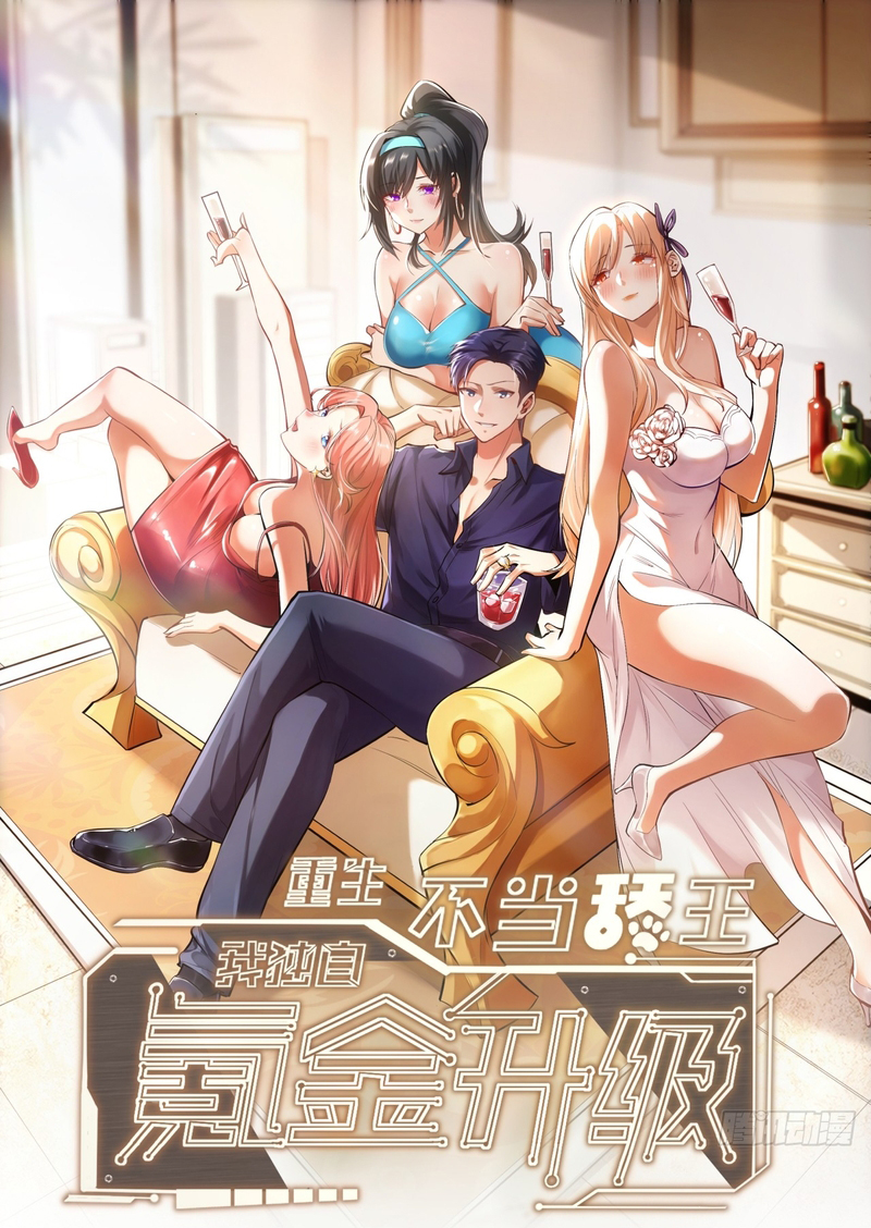 Cover of After Rebirth: Upgrading Through Consumption