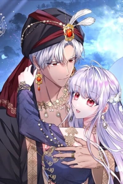 Cover of Traces of the Moon