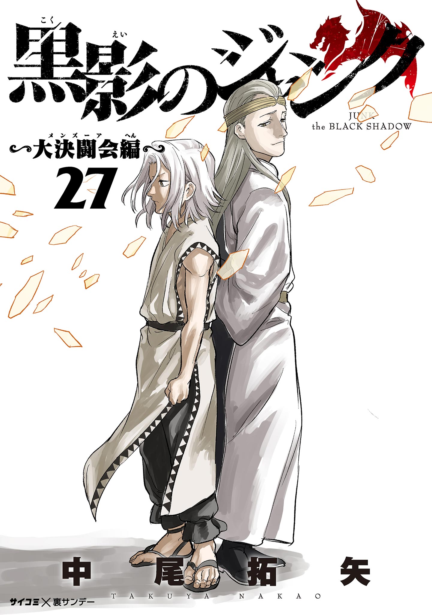 Cover of Junk the Black Shadow