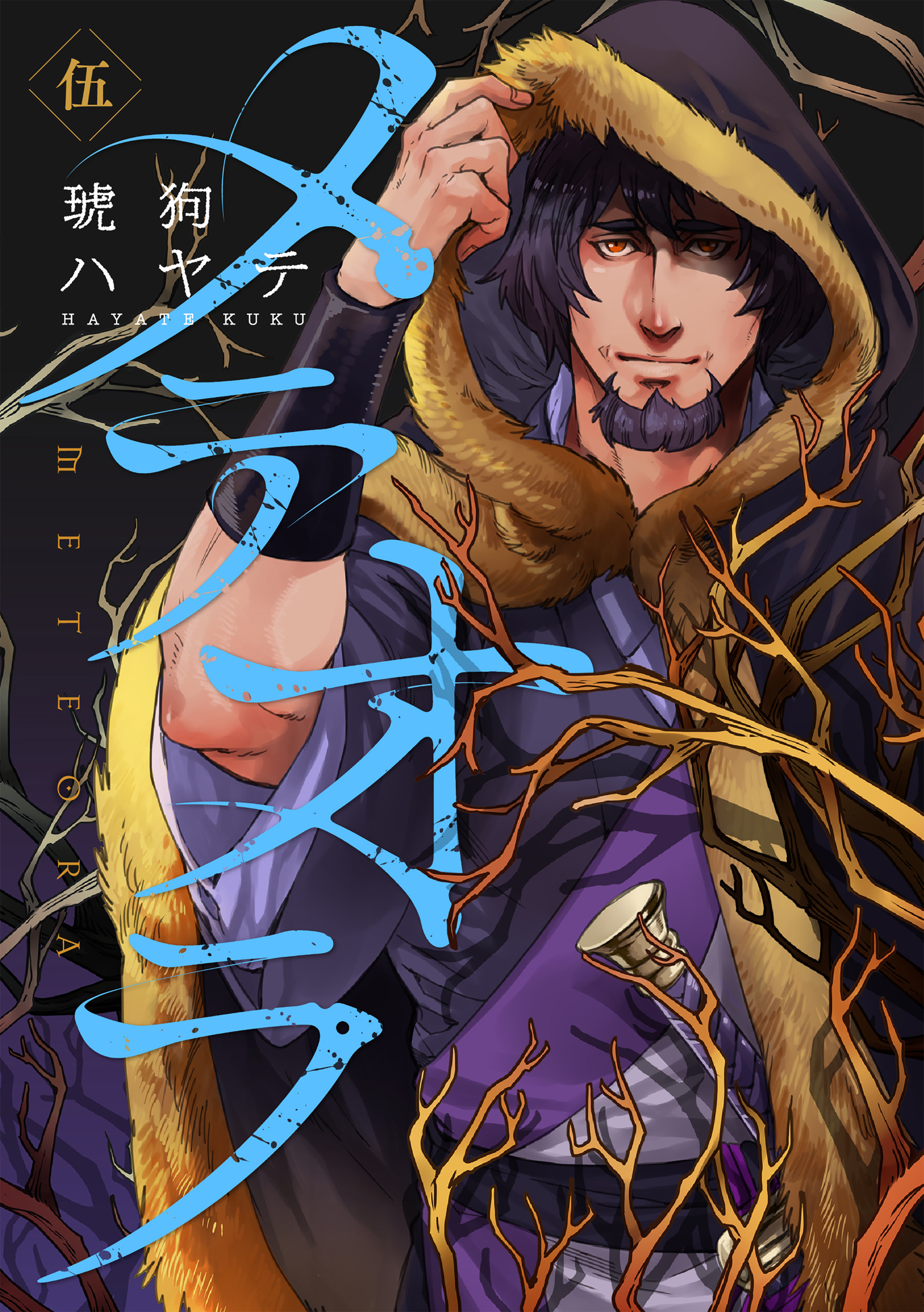 Cover of Meteora