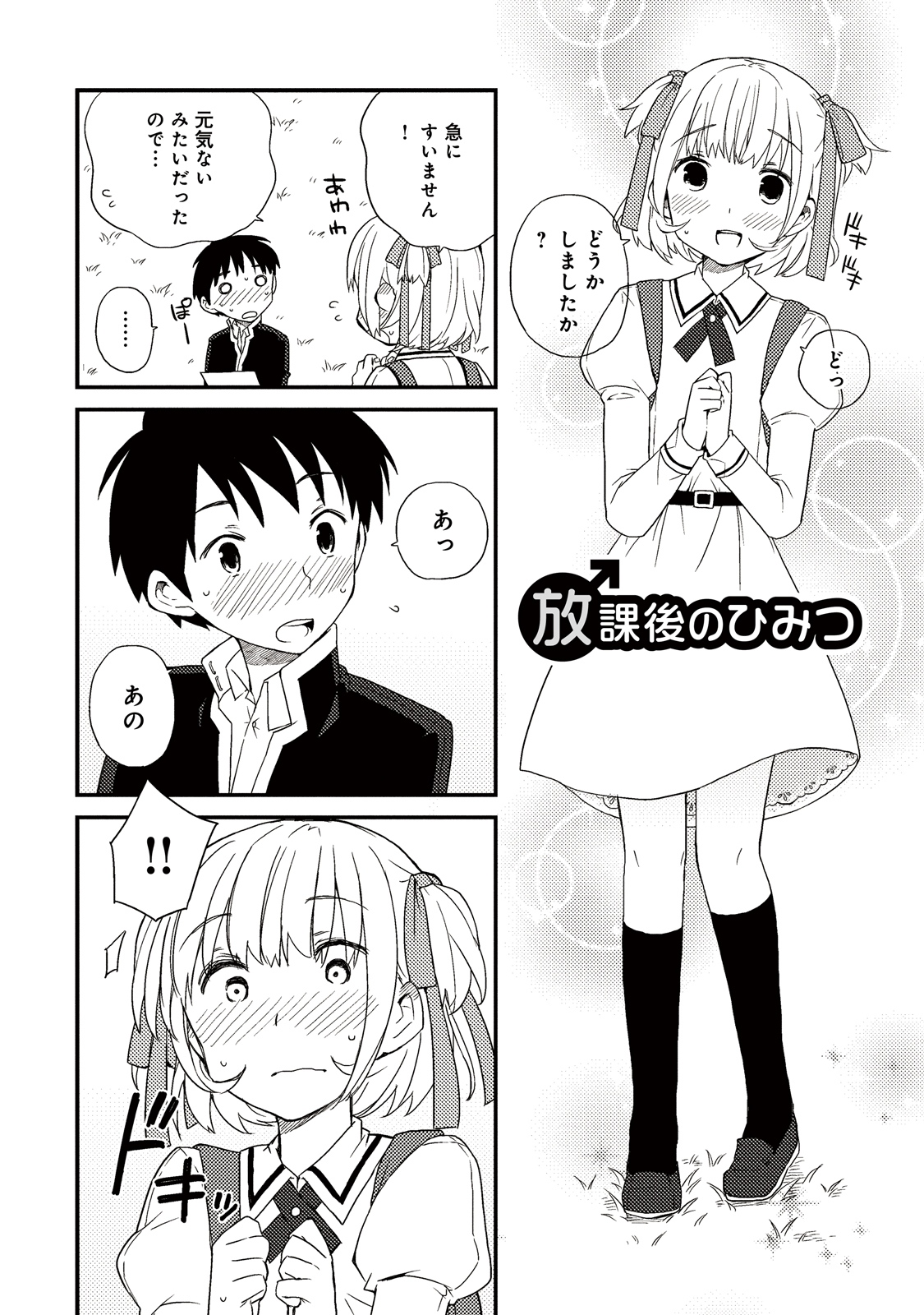Cover of Houkago no himitsu