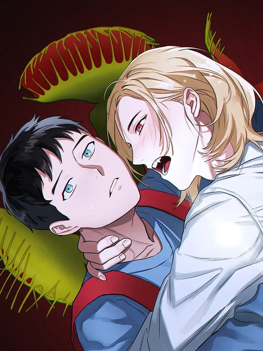 Cover of Festa das Flores