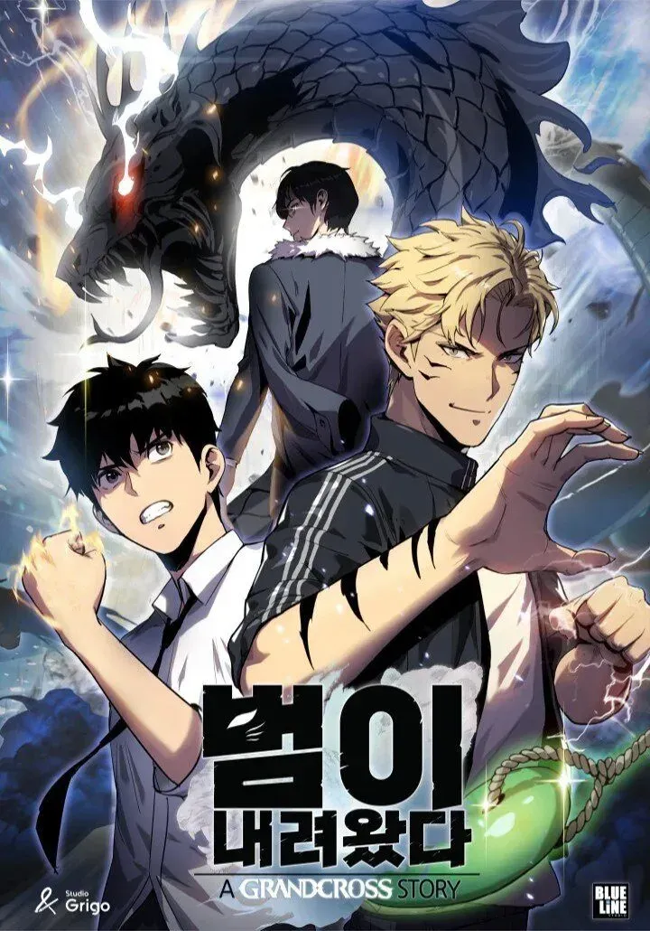 Cover of A Descida do Tigre