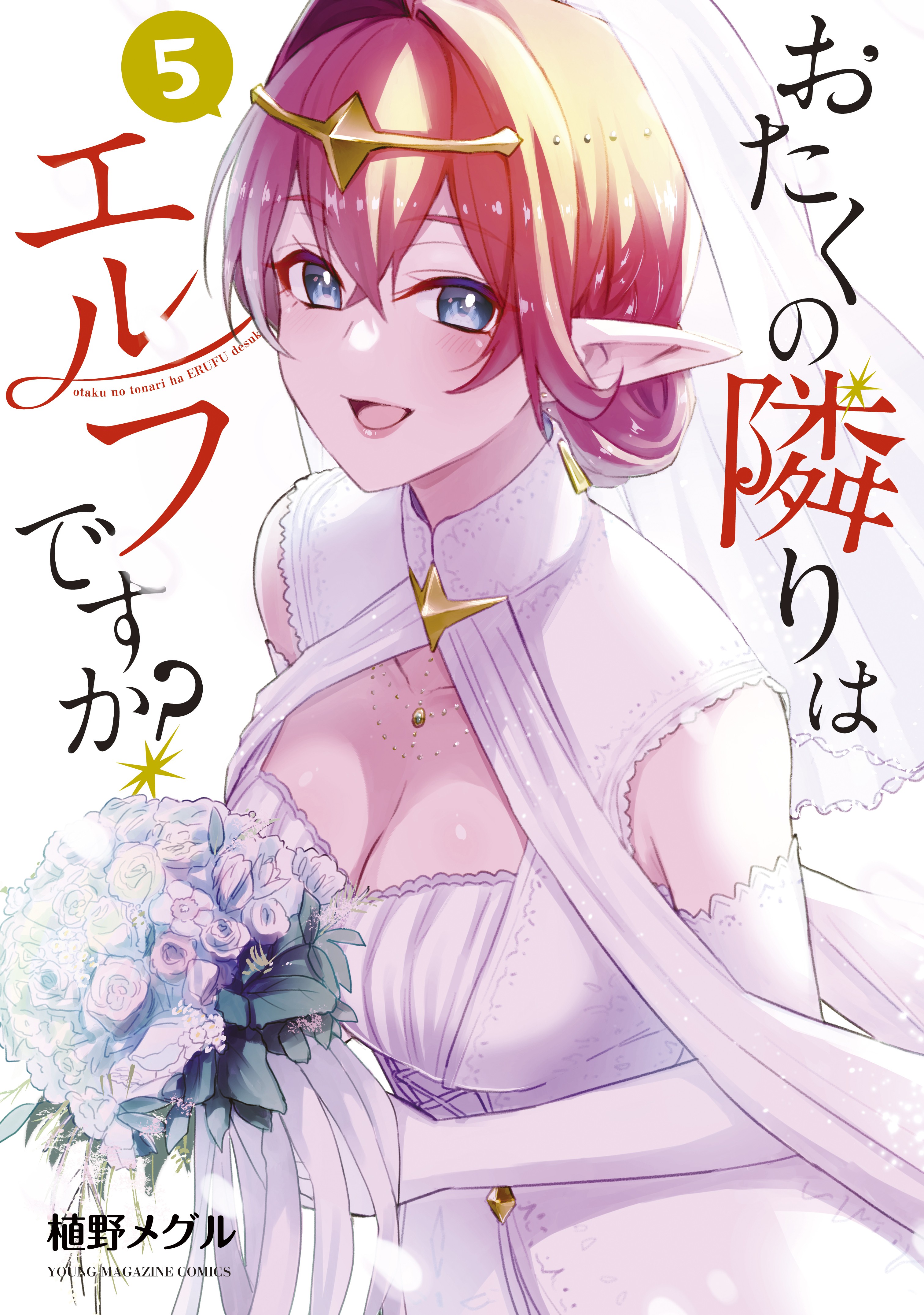 Cover of Otaku no Tonari wa Elf desu ka?