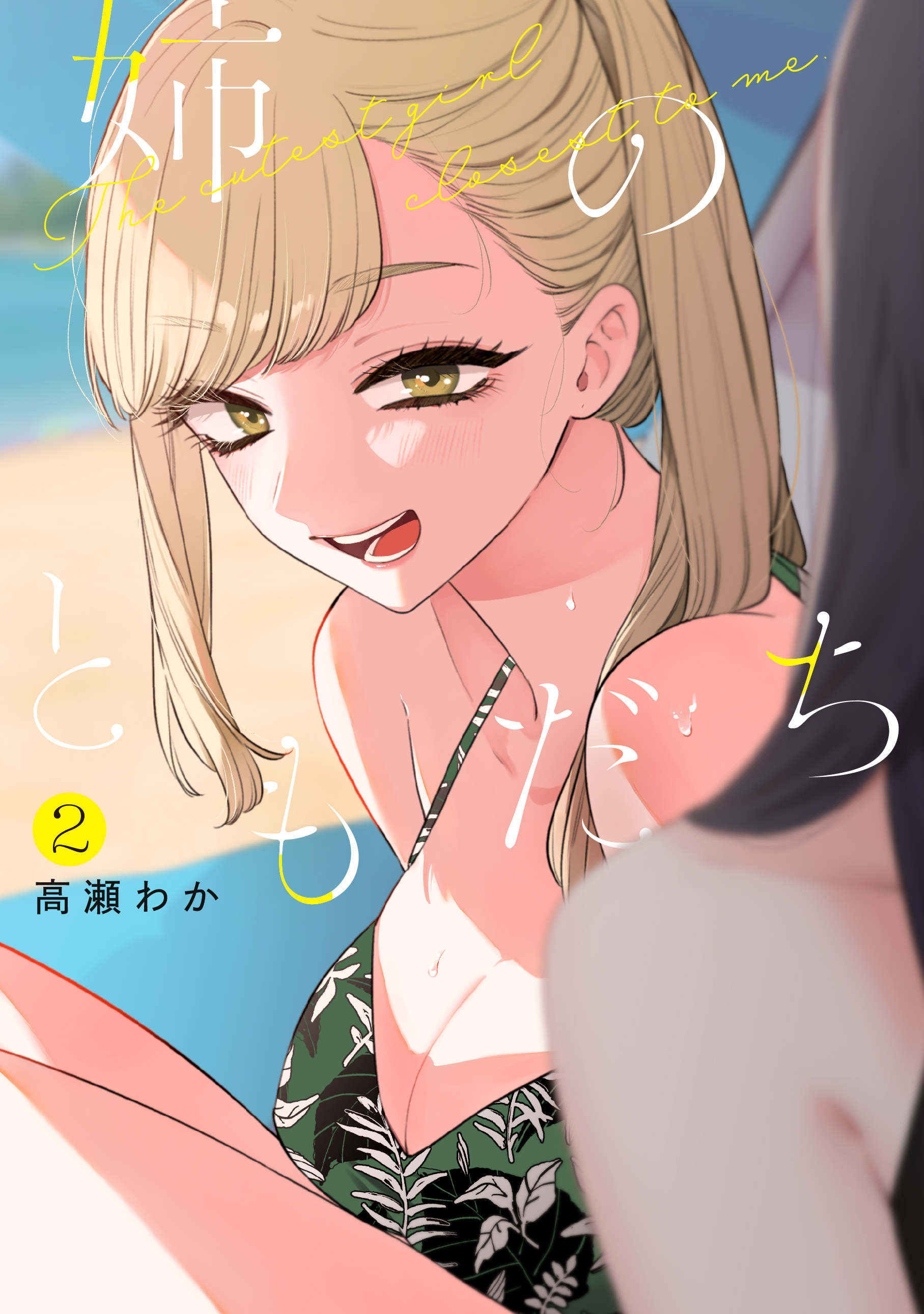 Cover of Ane no Tomodachi