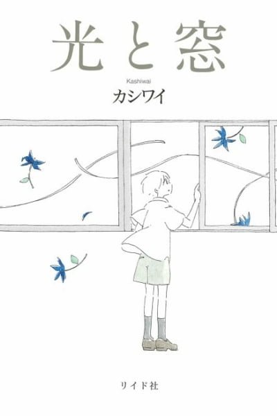 Cover of Light and Windows