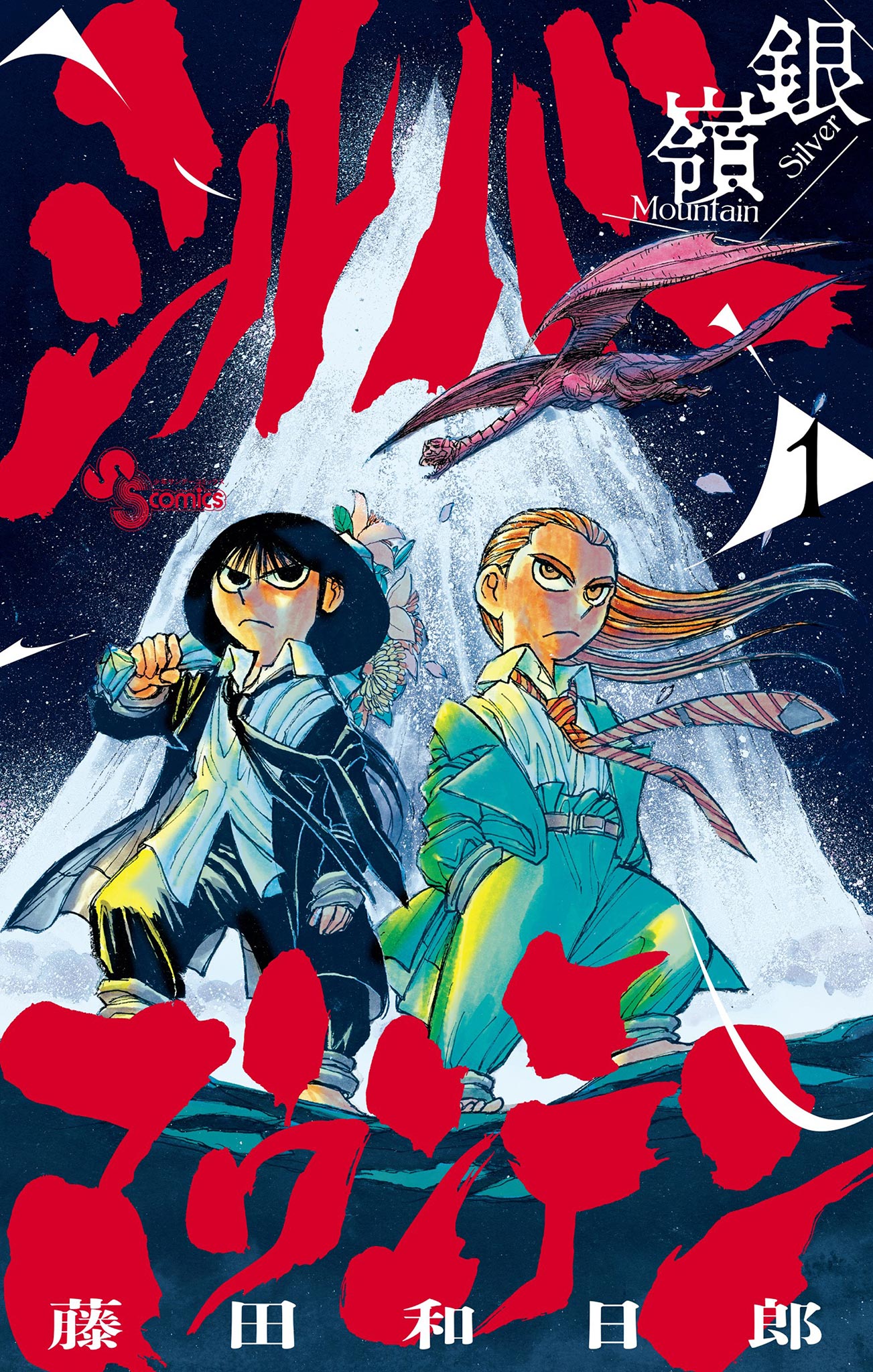 Cover of Silver Mountain