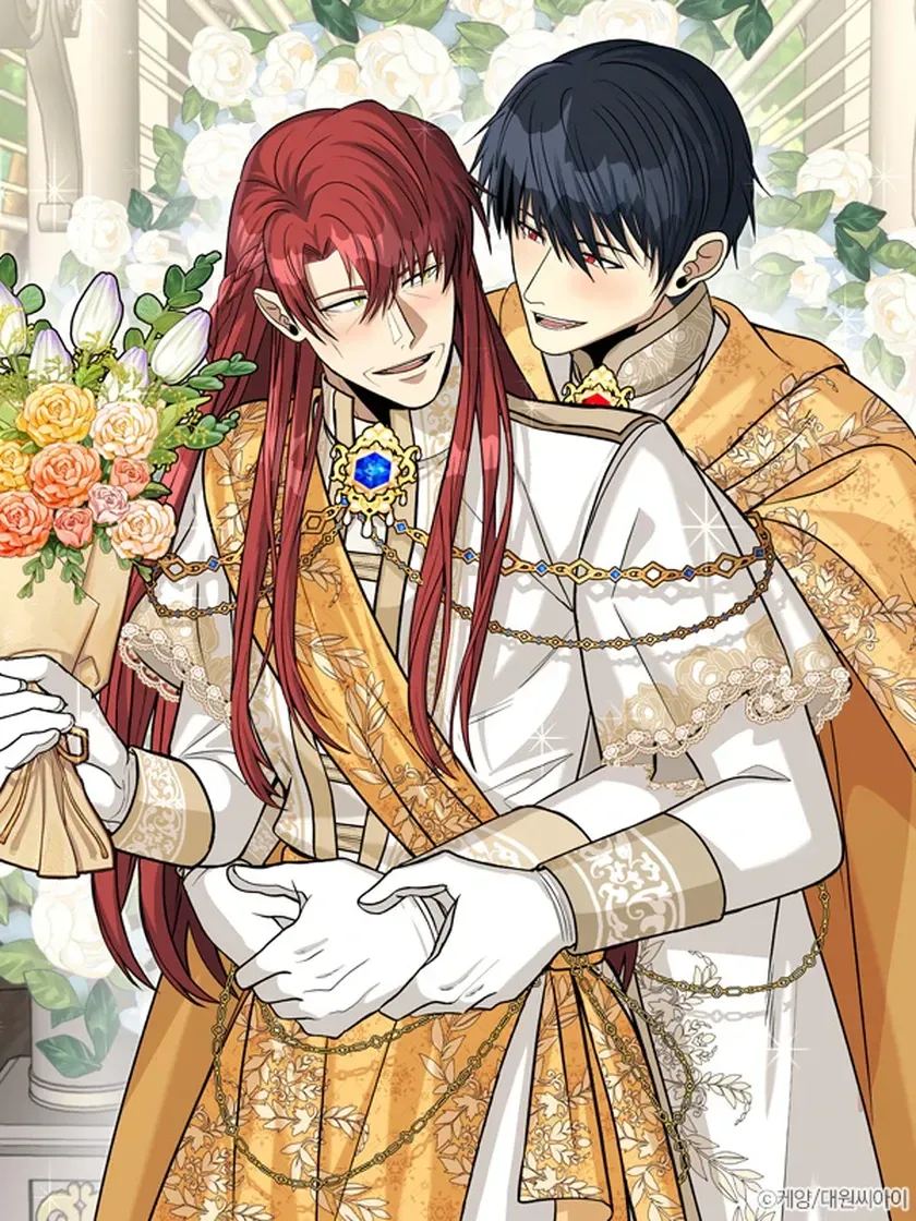 Cover of Aposentadoria, não amor!